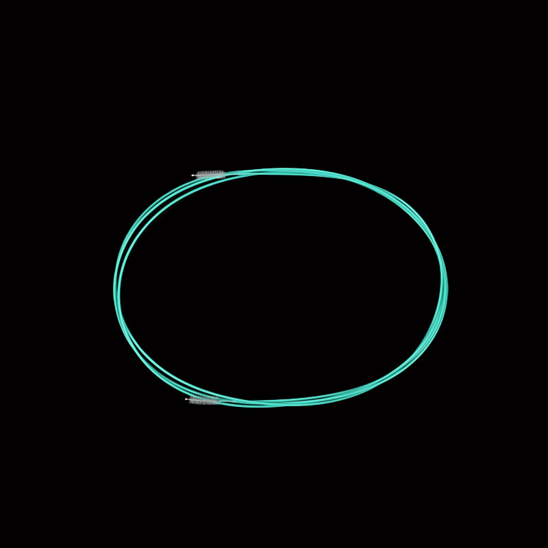 Double-ended endoscope cleaning brush